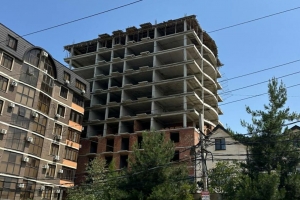 &quot;Несносный вопрос. Специалисты предлагают совместные инициативы по борьбе с незаконной застройкой&quot; (Статья в газете Дагправда)
